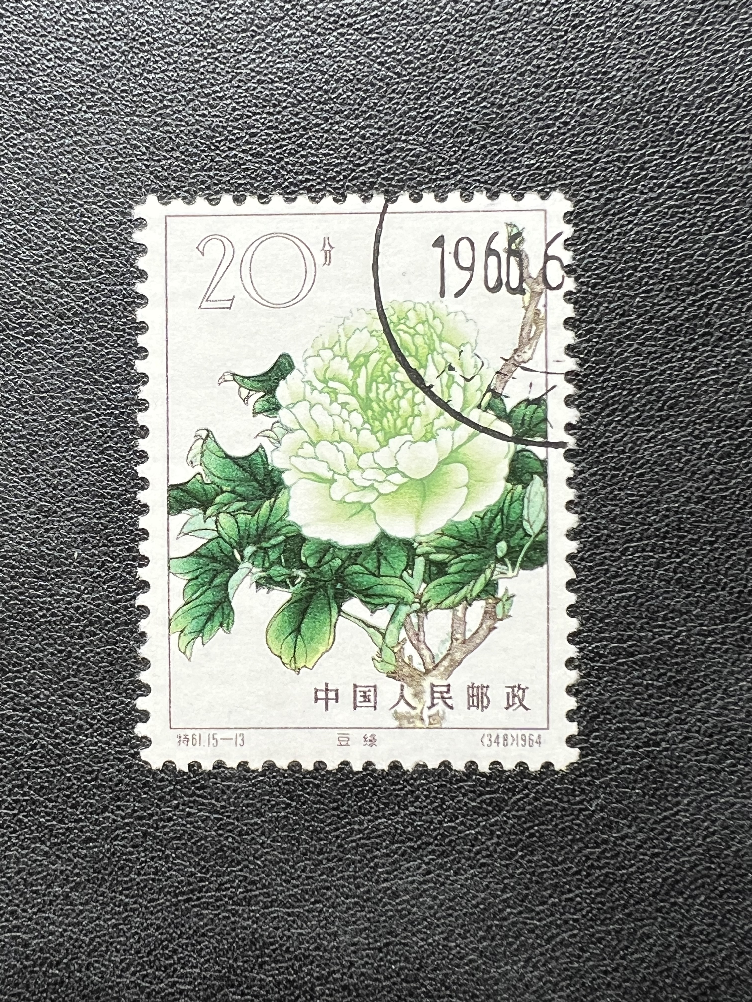 特61牡丹上品-淘宝逛一逛