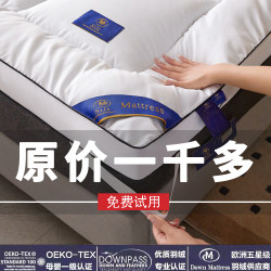 Five-Star Hotel Mattress Soft Cushion for Home Bedroom Tatami Mat Rental-Specific Mattress Dormitory Student Mattress Quilt