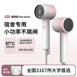 Small Power Hair Dryer for Dormitory Use 800W Student 1200W Negative Ion Hair Care Silent Household Portable Hair Dryer