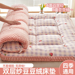 Bean Fleece Mattress Soft Pad Home Use Mat Double-Layer Gauze Pad Quilt Base Thickened Warm Rental-Specific Double Bed Mattress