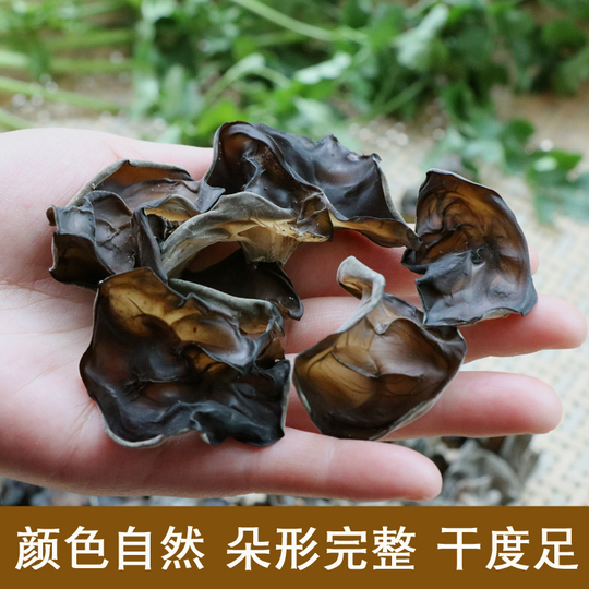 新作人気モデル 四川省産 黒きくらげ - バスウッド細木耳 - 250g ポケモンカードゲーム