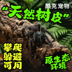 Reptile landscaping background board, gecko, tortoise and snake breeding box, special natural bark ecological avoidance landscaping