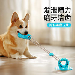 Dog toy suction cup slippers resistant to chewing, molars and food leakage