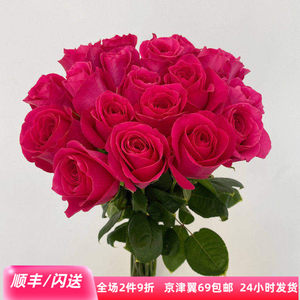 A-level direct-cooked Floyd rose fresh cut flowers, big rosé flowers, home water bottle flower arrangement, flash delivery in the same city
