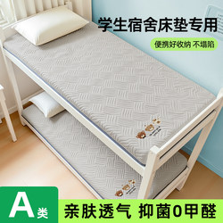 Mattress for Dormitory Students, Single Bed Special Mat, Soft Cushion, Tatami Mattress, Floor Sleeping Mat, Foldable Mattress