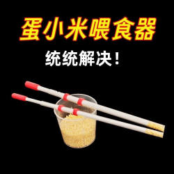 Small Sun Egg Millet Feeder for Hand-Raising Pearl Ten-Sisters Peony, Feeding Eggs and Rice to Baby Birds and Chicks, Feeding Tool