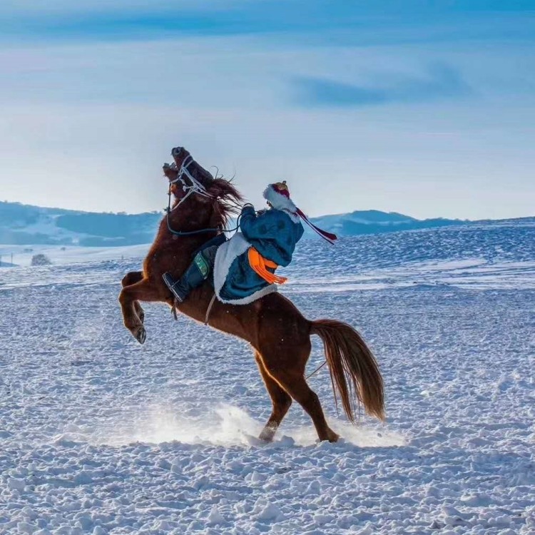 性价比之王丨乌兰布统+木兰围场2日1晚跟团游·正餐全含