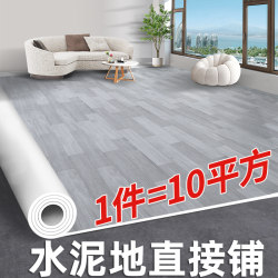 Flooring Vinyl Directly Laid on Cement, Thickened, Wear-Resistant, Waterproof Pvc Floor Stickers, Self-Adhesive Plastic Household Floor Mats 0