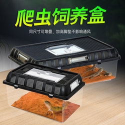 Portable Pet Breeding Box with Lid, Spider, Horned Frog, Hamster, Crab, Snake, Transparent Reptile Breeding Tank, Turtle Box