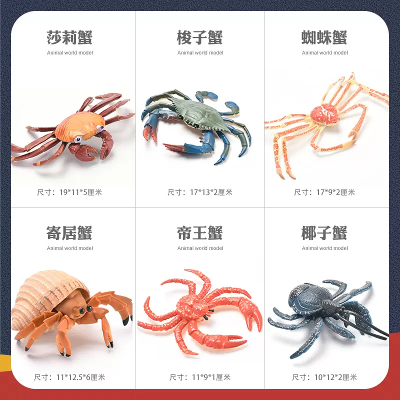 兒童仿真動物玩具模型寄居蟹梭子蟹麵包饅頭蟹帝王蟹蜘蛛蟹大閘蟹 Taobao