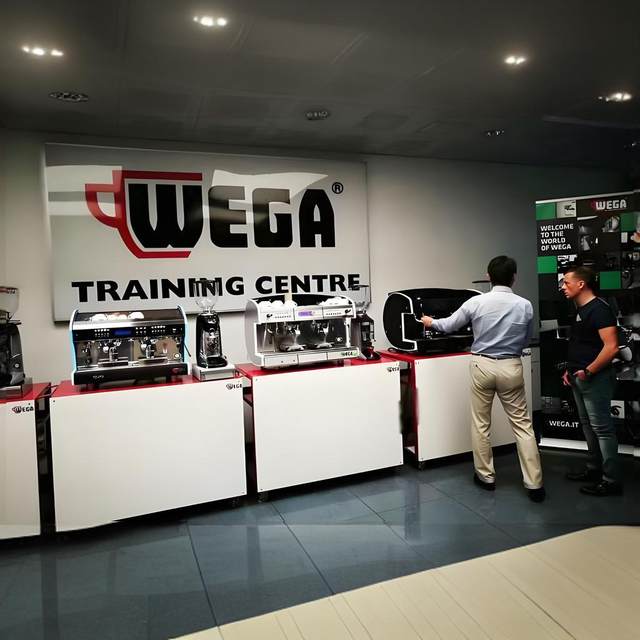 WEGApegaso Picasso coffee machine double head e61 milk tea shop Italian