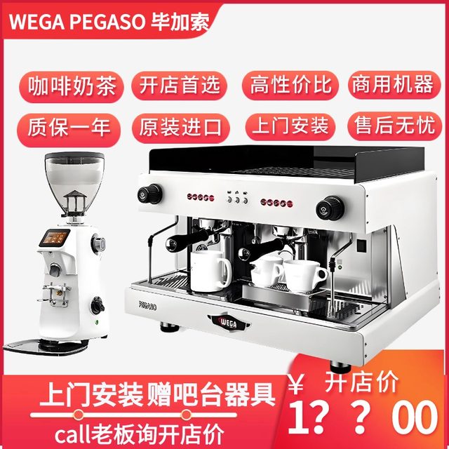WEGApegaso Picasso coffee machine double head e61 milk tea shop Italian