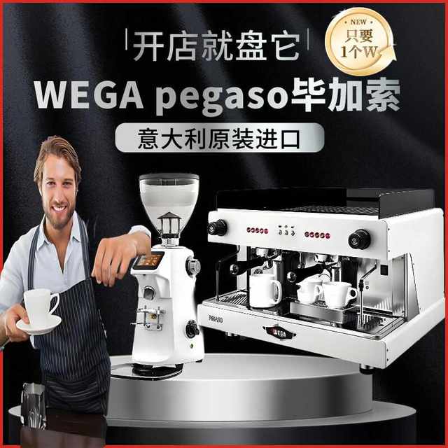 WEGApegaso Picasso coffee machine double head e61 milk tea shop Italian