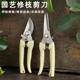 Gardening shears, pruning shears, flower shears, garden shears, floral shears, branches, fruit tree scissors, branch shears, flower scissors.