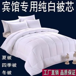 Quilt Core, Hotel-Specific Bedding, Air-Conditioned Winter Quilt, Pure Cotton, Warm Feather Velvet, Spring and Autumn All-Season Quilt