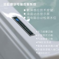Luxury Computer Control System 7001B for Open-Door Bathtubs