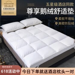 All-Season Peninsula Five-Star Hotel 95% White Goose down Mattress down Cushion Home Bedroom Mattress Dormitory Mattress Quilt