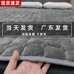 Flannel Mattress for Home Use, Student Dormitory Single Blanket, Soft Mat, Coral Milk Velvet Double Mattress, Tatami