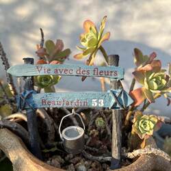 Japanese-Style Gardening Miscellaneous Items Micro Landscape Flower Pots Succulent Decorations Balcony Courtyard Landscaping Resin Props Mini Resin