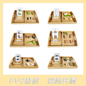 
Montessori Language Teaching Aids Home Kindergarten Frog Butterfly Model Biological Growth Cycle Cognitive Accessories