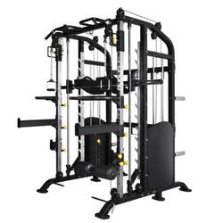 Sanfei Lc9730 Little Flying Bird Smith Compound Training Machine Smith Machine Multifunctional Fitness Equipment