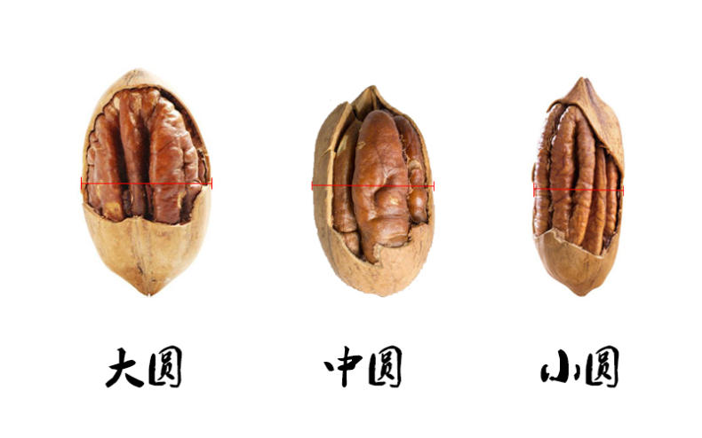 香香脆脆碧根果,少不了的小零食(图5) 香香脆脆碧根果,少不了的小零食(图5)