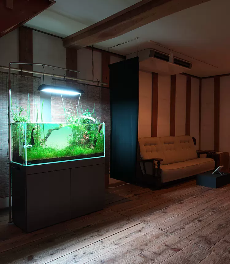 定做不鏽鋼魚缸架金屬鋼架櫃子超白缸架子ada款金魚水草缸海水 Taobao 定做不鏽鋼魚缸架金屬鋼架櫃子超白缸架子ada款金魚水草缸海水 Taobao