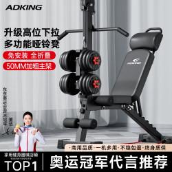 Dumbbell Bench Sit-Up Assist Device Men's Home Fitness Equipment Multi-Functional Bird Press Commercial Barbell Bench Press Chair