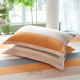 All -cotton pillow set in autumn and winter one pair of 100 cotton student dormitory single -player 48x74 pillow core inner bile sleeve