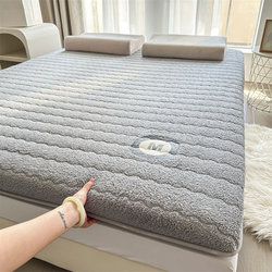 Winter Lamb Wool Mattress Soft Pad Home Mattress Pad Single Student Dormitory Thickened Warm Mattress Pad