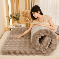 Winter Taffeta Velvet Mattress Pad for Home Bedroom, Thickened Warm Milk Velvet Mattress Pad for Winter