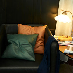Light Luxury Faux Leather Skin-Friendly Tech Fabric Pillowcase Sofa Cushion ins Style Simple Multi-Color Sofa Cushion Pillowcase