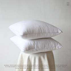 Yicai Insect-Proof, Mildew-Proof, Anti-Pilling, Slow-Rebound Down-Like Texture, All-Cotton Feather Velvet Pillow, Body Pillow, Lumbar Support Cushion, Pillow Core