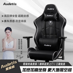 Audetis Spider Gaming Chair, Heavy-Duty, Comfortable for Long Sitting, Computer Chair, Internet Cafe, Home Gaming Chair, Ergonomic Chair