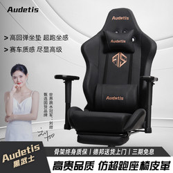 Audetis Gaming Chair for Boys, Ergonomic Chair, Comfortable for Long Sitting at Home, Computer Chair, Streamer Chair