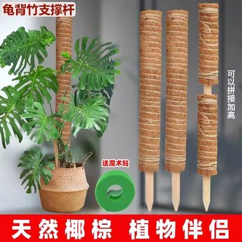 Monstera support rod green basket climbing column coconut palm stick fixed frame plant climbing vine flower stand palm skin coconut shred support