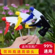 Drink bottle sprayer Cola Sprite Gardening Flower Watering Household Sprayer Accessories Small Spraying Can Nozzle Spraying Head
