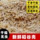 Fresh Northeast rice husk wholesale coarse bran rice bran chicken pet feed chicken feed bedding pillow shockproof filling wine making