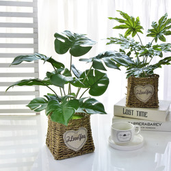 Nordic Artificial Plant Decorative Ornaments Indoor Anthurium Green Plant Small Potted Plant Living Room Fake Flower Desktop Bonsai Monstera
