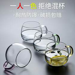 Tea Brewing Glass Cup with Handle, Household Heat-Resistant ins Style Transparent Set, High Temperature Resistant, Simple and Fresh Forest Style Water Cup