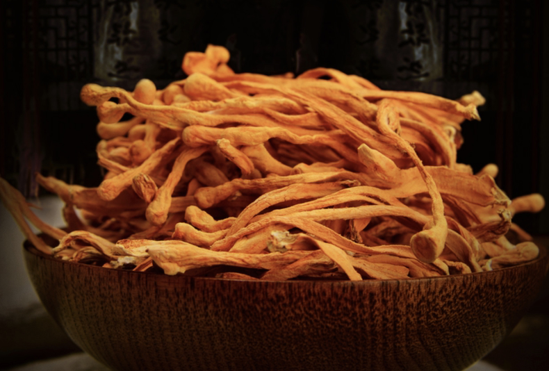 营养滋补虫草花,味道清爽鲜美(图6) 营养滋补虫草花,味道清爽鲜美(图6)