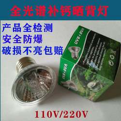 Turtle basking lamp, rutin chicken thermal lamp, heating lamp