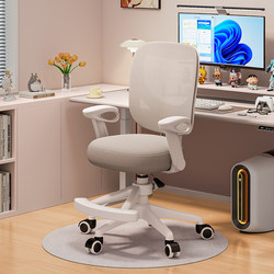 Simple Mesh Computer Chair, Home Office and Study Chair, Adjustable Swivel Chair, Comfortable for Long Sitting, Ergonomic Chair