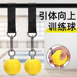 Pull-Up Grip Ball Trainer for Arm Muscle and Wrist Strength, Rock Climbing Finger Strengthener Ball, Wrist and Forearm Strength Ball