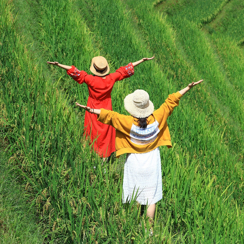 广西旅游9天8晚桂林南宁北海阳朔漓江龙脊德天瀑布通灵涠洲岛跟团
