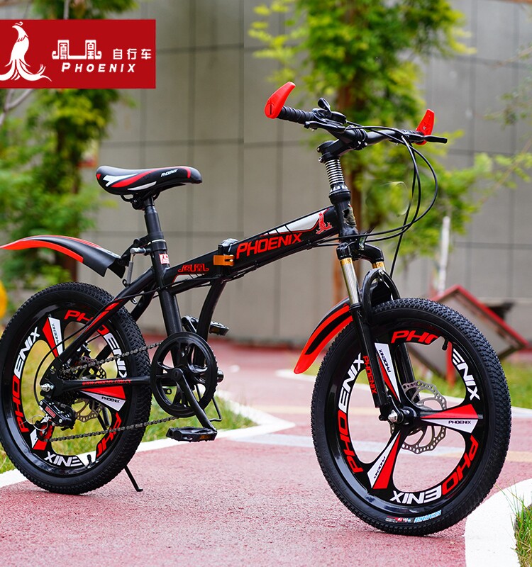 Bicicleta Infantil Phoenix Quadro de Aço de Alto Carbono