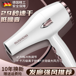 German Hairstylist Hair Dryer 3000 Hair Salon High-Power Household Strong Air Hot and Cold Air Blue Light Negative Ion Hair Care Static