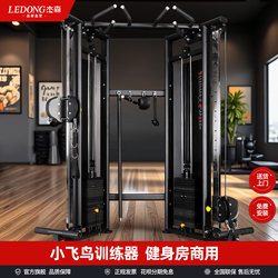 Jason Commercial Little Bird Comprehensive Training Device Multi-Function Gym Equipment with Pull-Down Function