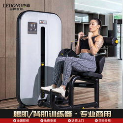 Jason Commercial Abdominal and Back Muscle Strength Equipment Personal Training Butterfly Machine Reverse Flying Bird Straight Arm Chest Muscle Training Gym