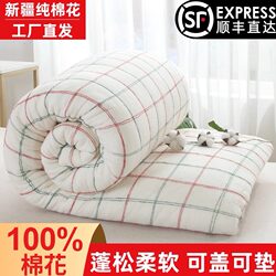 Xinjiang Pure Cotton Quilt, Handmade Cotton Quilt Core, Cotton Batting Pad, Bedspread, Winter Quilt, Thickened for Warmth